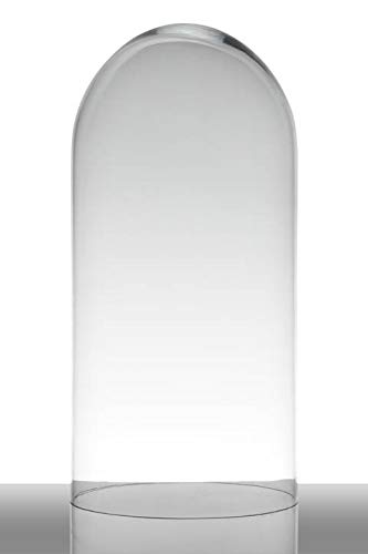 INNA-Glas Campana de Cristal Adelina, cilíndrica - Redonda, Transparente, 40cm, Ø 19cm - Recipiente de Cristal - Campana de Cristal Grande