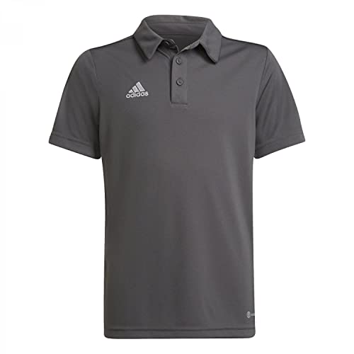 adidas Entrada 22 Polo Shirt Camiseta, Team Grey Four, 13-14 años Unisex adulto
