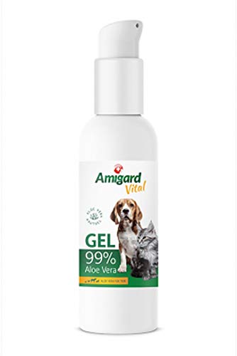 Amigard Gel de aloe vera – con 99% de gel de aloe vera, barrita natural para el cuidado de la piel y el pelo en perros, gatos y caballos