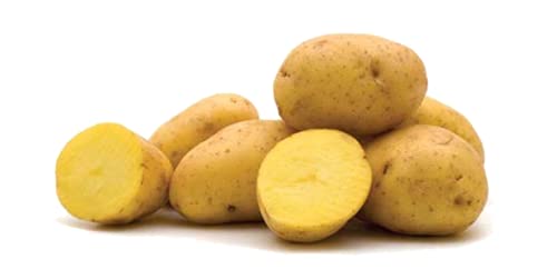 Patata nueva variedad agria origen España especial freír 100% Caja de 10 kg