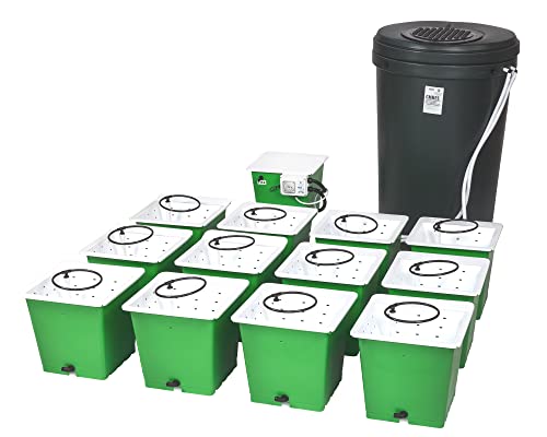 The Green Man System Kit de cultivo hidropónico de 12 macetas