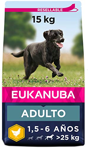 Eukanuba Alimento seco para perros adultos activos de raza grande, rico en pollo fresco 15 kg