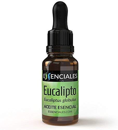 Essenciales - Aceite Esencial Eucalipto, 100% Puro, 30 ml | Aceite Esencial Eucaliptus Globulus