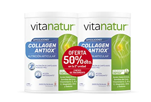 Vinatur - Collagen Antiox, Complemento Alimenticio con ingredientes que poseen Acción Antioxidante y adecuados para la Nutrición Articular, Sabor Frutos Rojos - Pack 2 Botes x 360 g