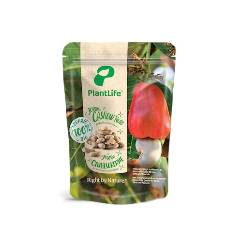 PlantLife Anacardos BÍO 1kg – anacardos naturales – crudos y sin tratar - 100% reciclable