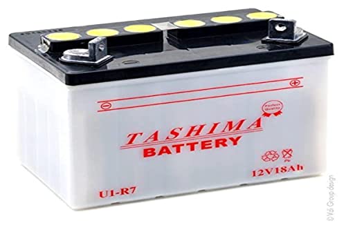 Greenstar 13197 batería para cortacésped U1 R7 F503