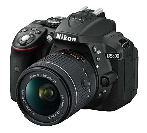 Nikon D5300 - Cámara réflex Digital (24.1 megapíxeles, NFC, SD 8 GB, 200x Lexar Premium)