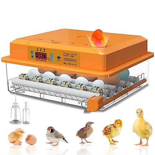 Hethya Incubadora automática de huevo, incubadora de pollos para el hogar, controlador de la granja, 12-16 huevos