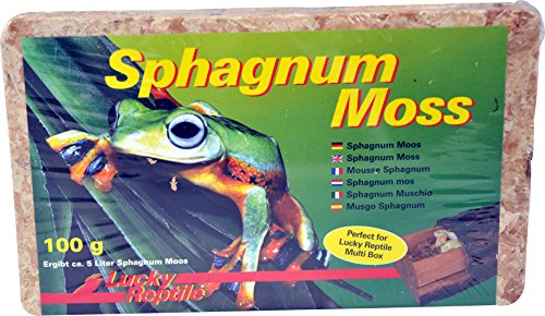 Lucky Reptile Sphagnum Moss - 100 g Ladrillos de Musgo para terrarios - Musgo de terrario para Aumentar Humedad del Aire - Musgo de Cultivo controlado orquídeas y bromelias - Accesorio para Reptiles