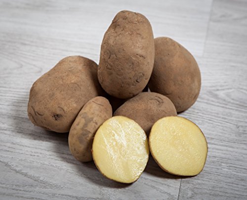 Ajos y Cebollas Hnos. Recio SAT 6300 40 kg. Patata Agria / Especial para Freir - Selección Gourmet