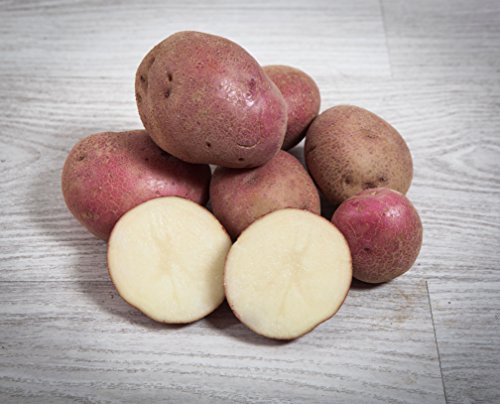 3 kg. Patata Roja/Especial para Guisar y Cocer - Selección Gourmet