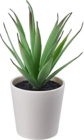 Plantas Ikea